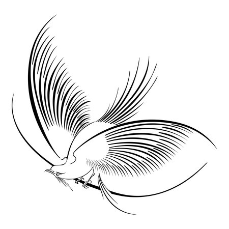 abstract bird with elegant calligraphy strokes for illustrationのイラスト素材