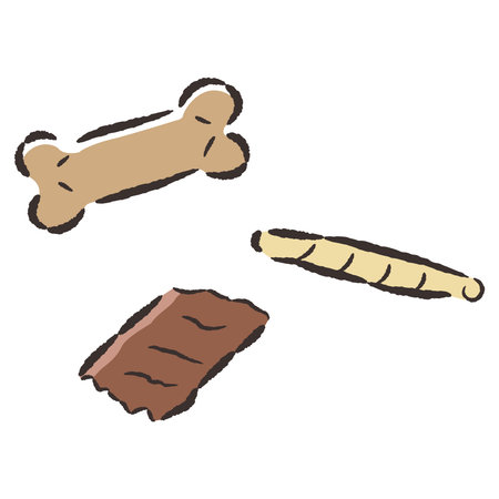 A hand-drawn, loose and cute illustration of a dog treat. A rough and stylish impression. Vector illustration.のイラスト素材