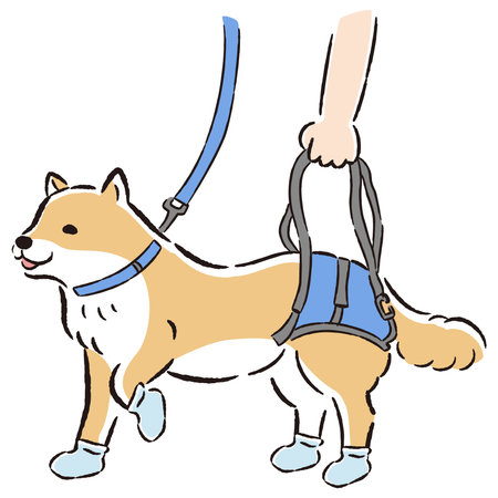 Hand-drawn, loose and cute illustrations of pet supplies. A rough and stylish impression. Vector illustration.のイラスト素材