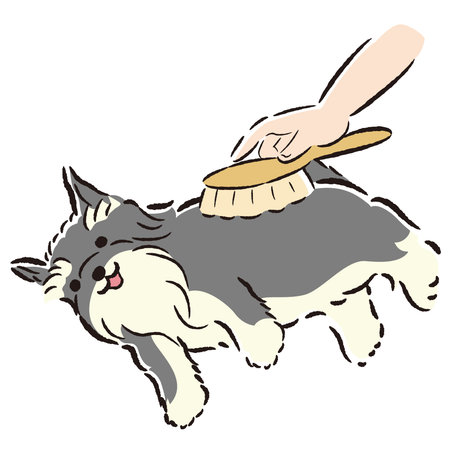 Hand-drawn, loose and cute illustration of dog care. A rough and stylish impression. Vector illustration.のイラスト素材