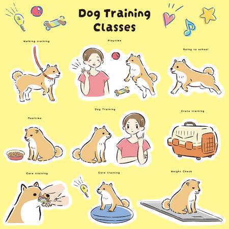 Hand-drawn, loose and cute dog training illustration. A rough and stylish impression. Vector illustration.のイラスト素材