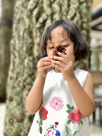 Asian cute little girl holding pine cone in the pine forestの写真素材