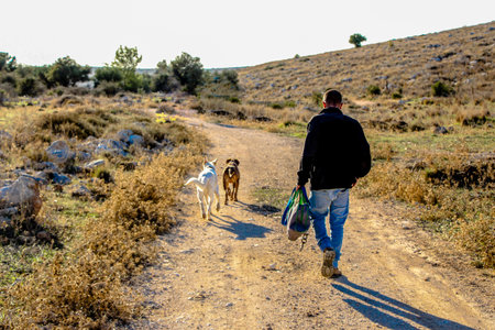 preety capture of a man walking out his two dogsの写真素材
