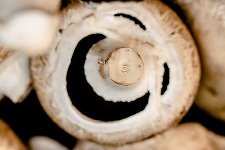capture of smiling Champignon mushroom close up photoの写真素材