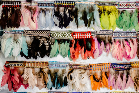 beautiful different stylish feathers as a designの写真素材