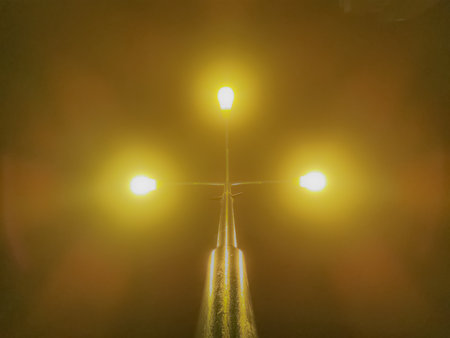 capture of a street light in the fog