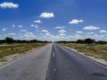 capture of high road in the desertの写真素材