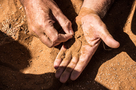 apture of earth treasure in a handの写真素材