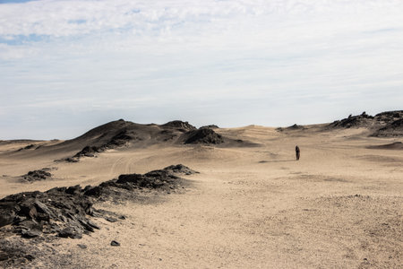 capture of alone traveling in hot desertの写真素材