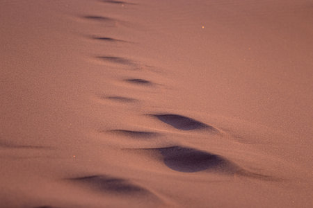 capture of foot prints in moving sandの写真素材