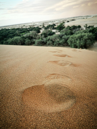 close up on foot prints in the sand