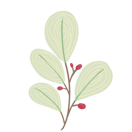 Beautiful vector flowers and leavesのイラスト素材
