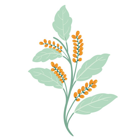 Beautiful vector flowers and butterfliesのイラスト素材