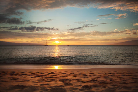 Sunset on the ocean beachの写真素材