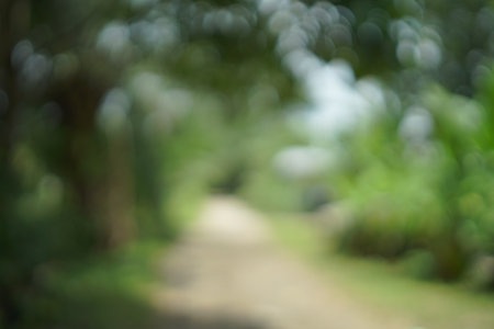 Blur stock for your footage needsの写真素材