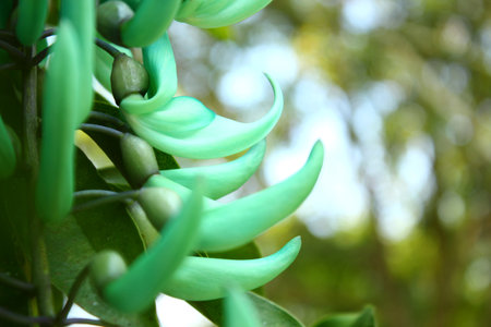 a photo of a beautiful flower in the middle of a colorful garden that looks beautiful and adornedの写真素材