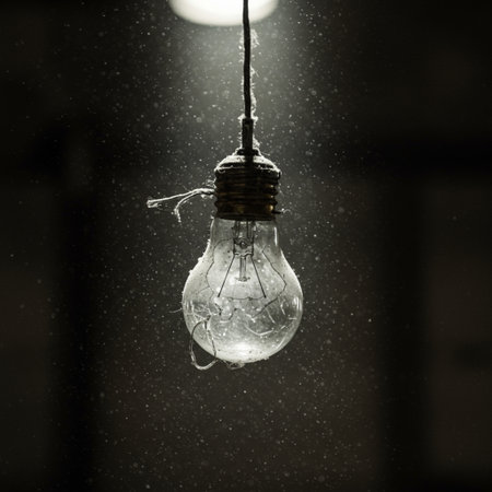 Light bulb hanging on the ceiling in a dark room with rain.の素材