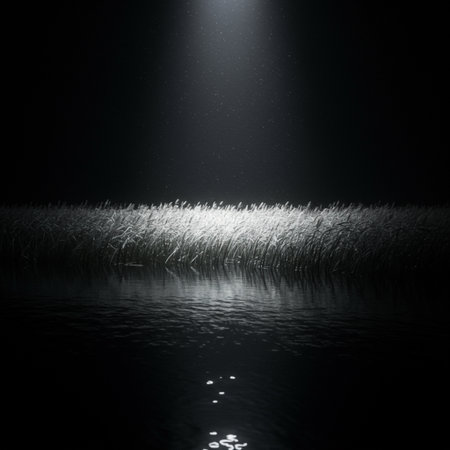 Reflection of a light beam in the water on a dark backgroundの素材