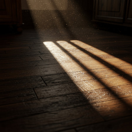 Shadow on a wooden floor in a room with sunlight coming through the windowの素材