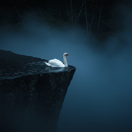 White swan on a rock with a dark blue misty backgroundの素材