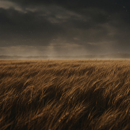 Wheat field and dark stormy sky. Rural scene. 3d renderの素材