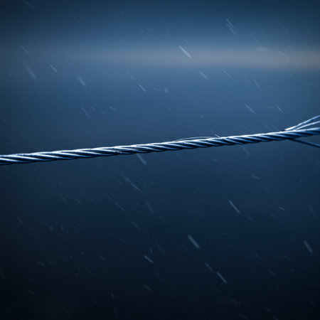 Raindrops falling on a wire fence in the rain. Selective focus.の素材