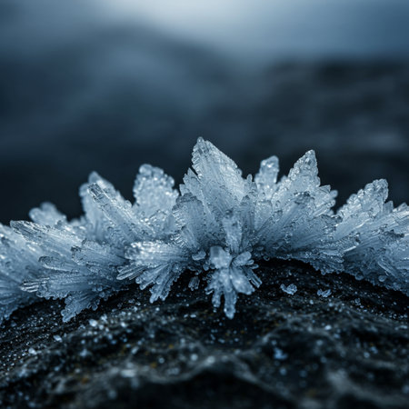 Frozen ice crystals on a tree trunk. Winter background. Toned.の素材