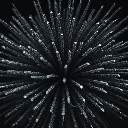 Macro close-up of frozen grass on a black background.の素材