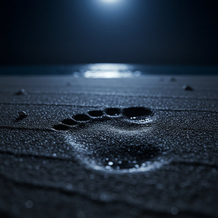 Footprint on wet sand with moonlight in the background. Shallow depth of fieldの素材