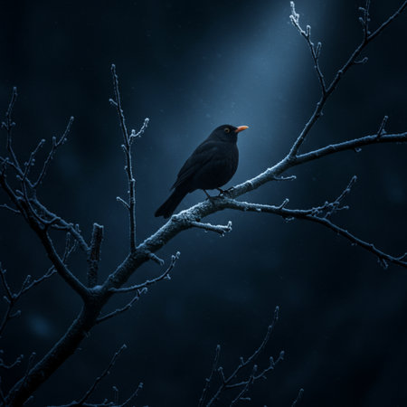 Blackbird sitting on a tree branch in a dark winter forest.の素材