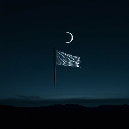 Waving flag in the moonlight at night. 3D renderingの素材