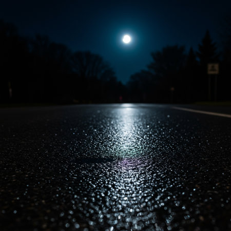 Night road with wet asphalt and full moon in the background. Selective focus.の素材