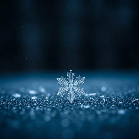Snowflake on bokeh background. Christmas and New Year concept.の素材
