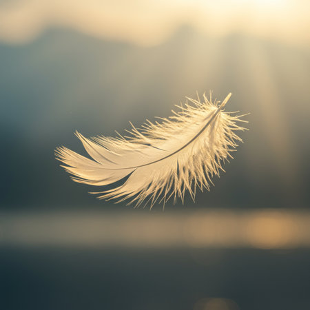 Feather on the background of the morning sun. Retro style.の素材