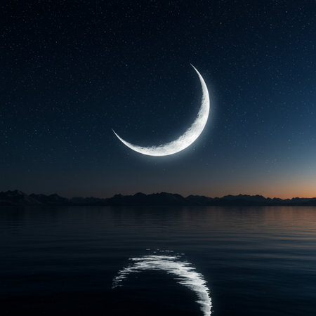 Crescent moon in the night sky over the sea. 3d renderingの素材