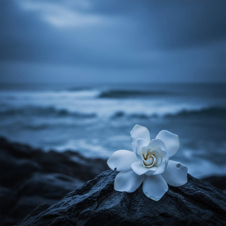 Beautiful white flower on a stone against the background of the seaの素材