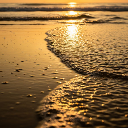 Beautiful sunset on the beach with wave and sun reflection in waterの素材