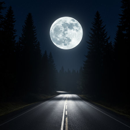 Asphalt road through the forest at night with full moon in the skyの素材