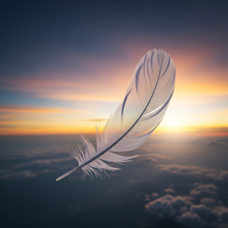 Feather of a bird on a background of a beautiful sunset.の素材
