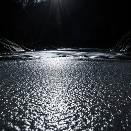 Frozen river in the forest at night. Black and white photo.の素材