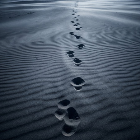 Footprints in the sand on the beach. Black and white.の素材