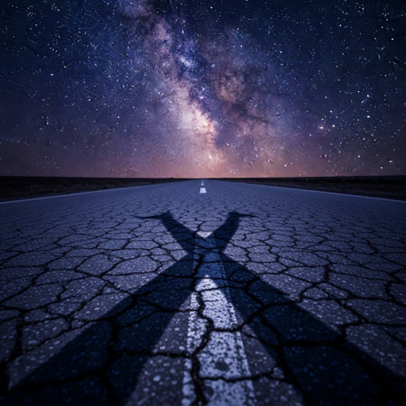 Milky Way in the desert with a shadow of a man.の素材