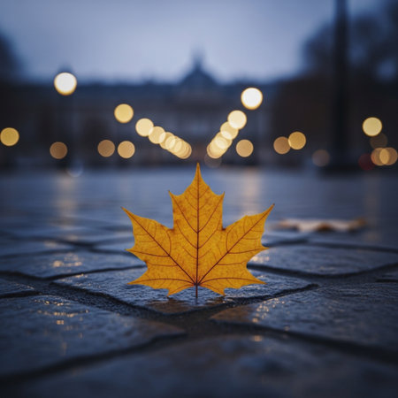 Maple leaf on the pavement in the city at night. Selective focus.の素材
