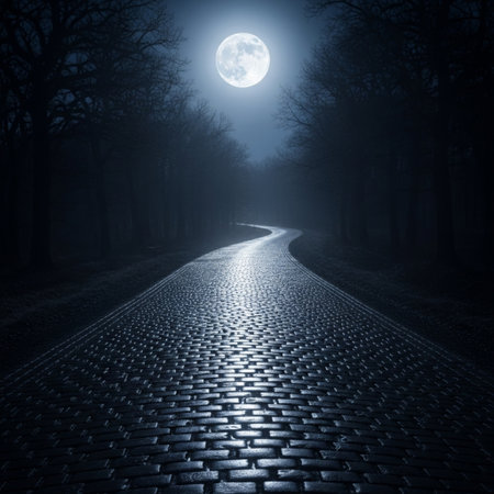 Pathway in the forest at night with full moon. Halloween conceptの素材