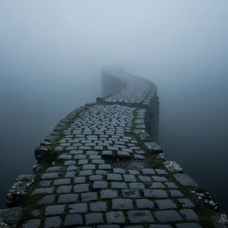 Stone bridge in the foggy morning at the shore of the lakeの素材