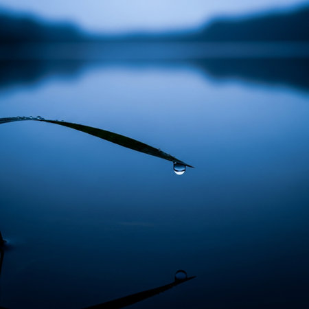 Water droplets on a blade of grass on a lake background.の素材