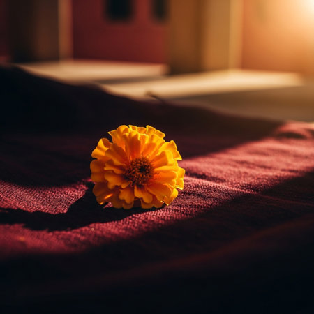 Beautiful marigold flower on the bed in the morning.の素材