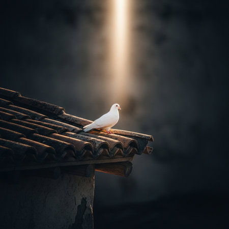 Pigeon sitting on the roof of an old house in the rays of lightの素材