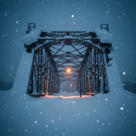 Old metal bridge covered with snow at night. Beautiful winter landscape.の素材