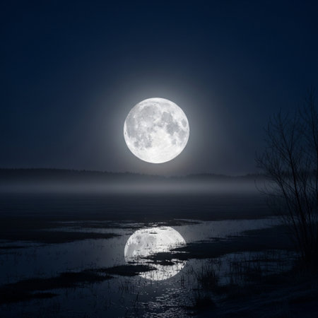 Foggy night landscape with full moon and reflection in water.の素材